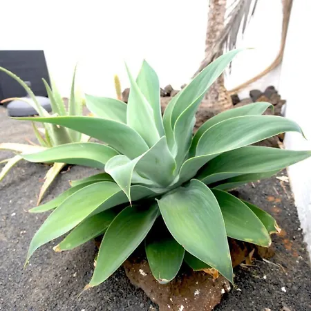 Kalendra Rofe Amplia Y Tranquila Cerca Del Mar Guatiza