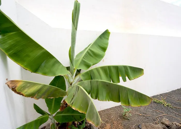 Kalendra Rofe - Amplia Y Tranquila Cerca Del Mar *