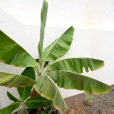 Kalendra Rofe - Amplia Y Tranquila Cerca Del Mar *