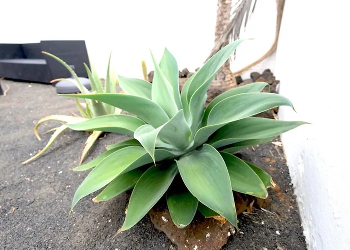 Kalendra Rofe - Amplia Y Tranquila Cerca Del Mar Guatiza